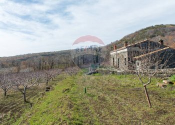 Vista delle montagne - Rustico Contrada Parmentelli / Strada Milia
 
snc, Ragalna - foto 49
