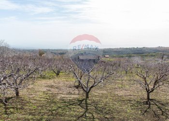 Vista delle montagne - Rustico Contrada Parmentelli / Strada Milia
 
snc, Ragalna - foto 51