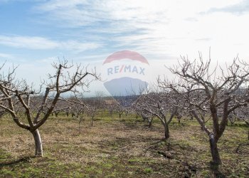 Vista delle montagne - Rustico Contrada Parmentelli / Strada Milia
 
snc, Ragalna - foto 52