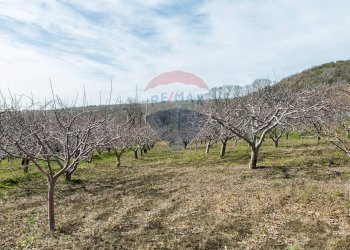 Vista delle montagne - Rustico Contrada Parmentelli / Strada Milia
 
snc, Ragalna - foto 54
