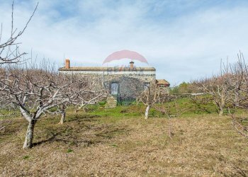 Giardino - Rustico Contrada Parmentelli / Strada Milia
 
snc, Ragalna - foto 55