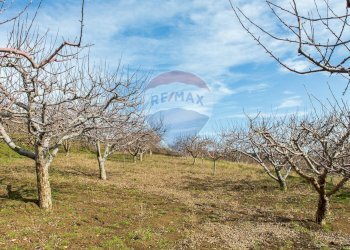 Giardino - Rustico Contrada Parmentelli / Strada Milia
 
snc, Ragalna - foto 56