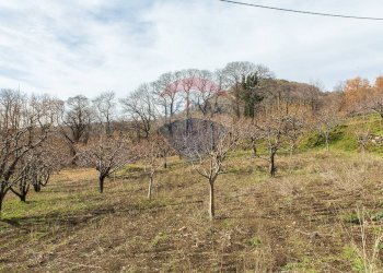 Vista delle montagne - Rustico Contrada Parmentelli / Strada Milia
 
snc, Ragalna - foto 57