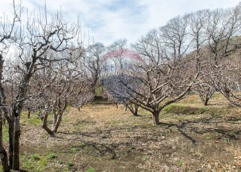 Giardino - Rustico Contrada Parmentelli / Strada Milia
 
snc, Ragalna - foto 58