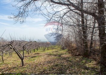 Vista delle montagne - Rustico Contrada Parmentelli / Strada Milia
 
snc, Ragalna - foto 59