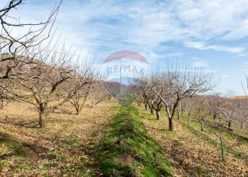 Vista delle montagne - Rustico Contrada Parmentelli / Strada Milia
 
snc, Ragalna - foto 60