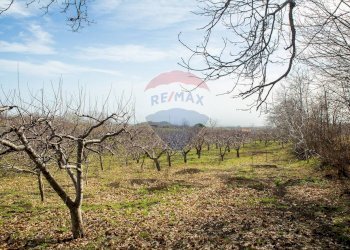 Vista delle montagne - Rustico Contrada Parmentelli / Strada Milia
 
snc, Ragalna - foto 61