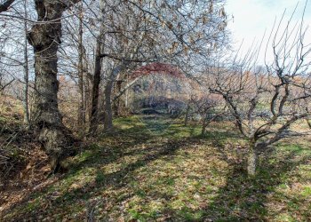 Giardino - Rustico Contrada Parmentelli / Strada Milia
 
snc, Ragalna - foto 62