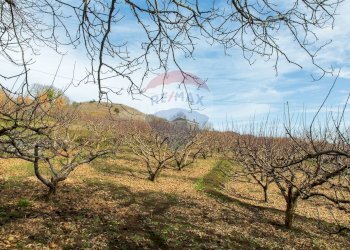 Vista delle montagne - Rustico Contrada Parmentelli / Strada Milia
 
snc, Ragalna - foto 63
