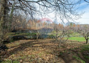 Giardino - Rustico Contrada Parmentelli / Strada Milia
 
snc, Ragalna - foto 64