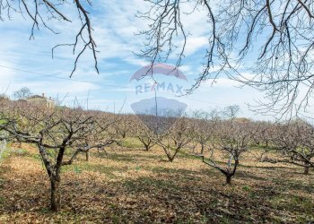 Vista delle montagne - Rustico Contrada Parmentelli / Strada Milia
 
snc, Ragalna - foto 65