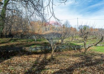 Giardino - Rustico Contrada Parmentelli / Strada Milia
 
snc, Ragalna - foto 66