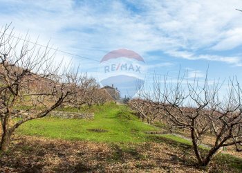 Giardino - Rustico Contrada Parmentelli / Strada Milia
 
snc, Ragalna - foto 67