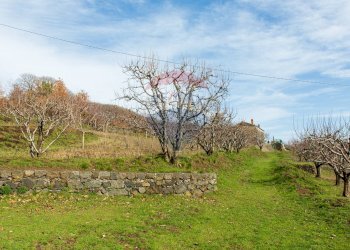 Giardino - Rustico Contrada Parmentelli / Strada Milia
 
snc, Ragalna - foto 68