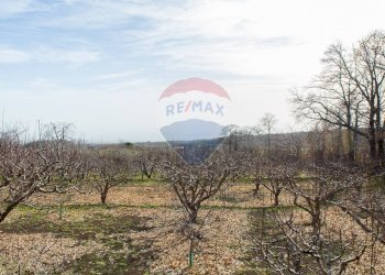 Non correlato - Rustico Contrada Parmentelli / Strada Milia
 
snc, Ragalna - foto 69