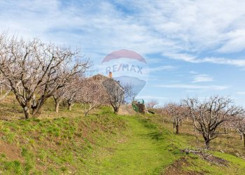 Giardino - Rustico Contrada Parmentelli / Strada Milia
 
snc, Ragalna - foto 70