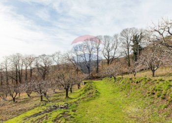Giardino - Rustico Contrada Parmentelli / Strada Milia
 
snc, Ragalna - foto 71