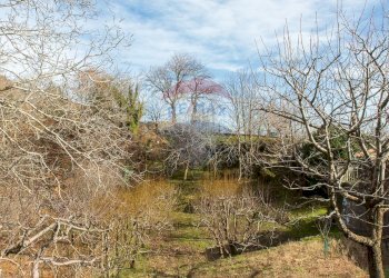 Giardino - Rustico Contrada Parmentelli / Strada Milia
 
snc, Ragalna - foto 75