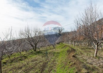 Vista delle montagne - Rustico Contrada Parmentelli / Strada Milia
 
snc, Ragalna - foto 76
