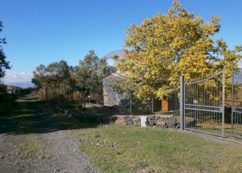 Giardino - Baita Contrada Feudo Soprano, Maletto - foto 1