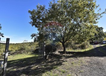 Giardino - Baita Contrada Feudo Soprano, Maletto - foto 8