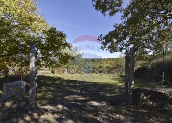 Giardino - Baita Contrada Feudo Soprano, Maletto - foto 9