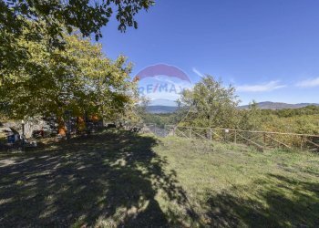 Giardino - Baita Contrada Feudo Soprano, Maletto - foto 11