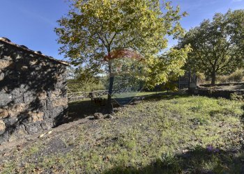 Giardino - Baita Contrada Feudo Soprano, Maletto - foto 13