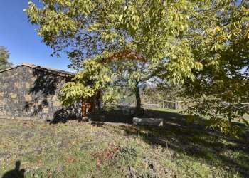 Giardino - Baita Contrada Feudo Soprano, Maletto - foto 14