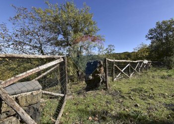 Giardino - Baita Contrada Feudo Soprano, Maletto - foto 31