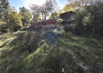 Giardino - Baita Contrada Feudo Soprano, Maletto - foto 35