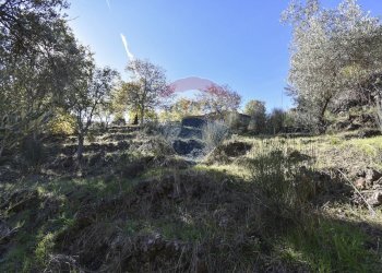 Giardino - Baita Contrada Feudo Soprano, Maletto - foto 36