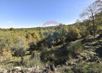 Vista delle montagne - Baita Contrada Feudo Soprano, Maletto - foto 38