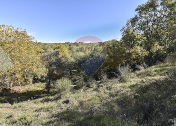 Vista delle montagne - Baita Contrada Feudo Soprano, Maletto - foto 39