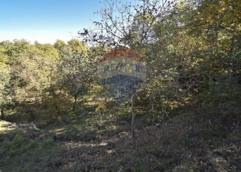 Giardino - Baita Contrada Feudo Soprano, Maletto - foto 40