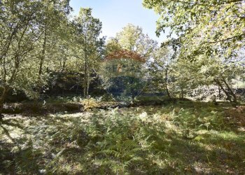 Giardino - Baita Contrada Feudo Soprano, Maletto - foto 41