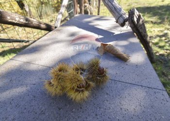 Non correlato - Baita Contrada Feudo Soprano, Maletto - foto 42