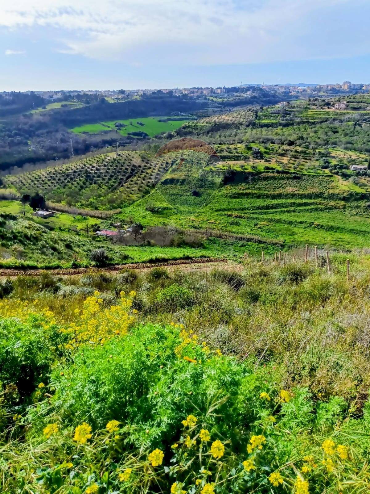 Vista delle montagne - Terreno edificabile Contrada Mazzone
 
snc, Caltagirone - foto 2