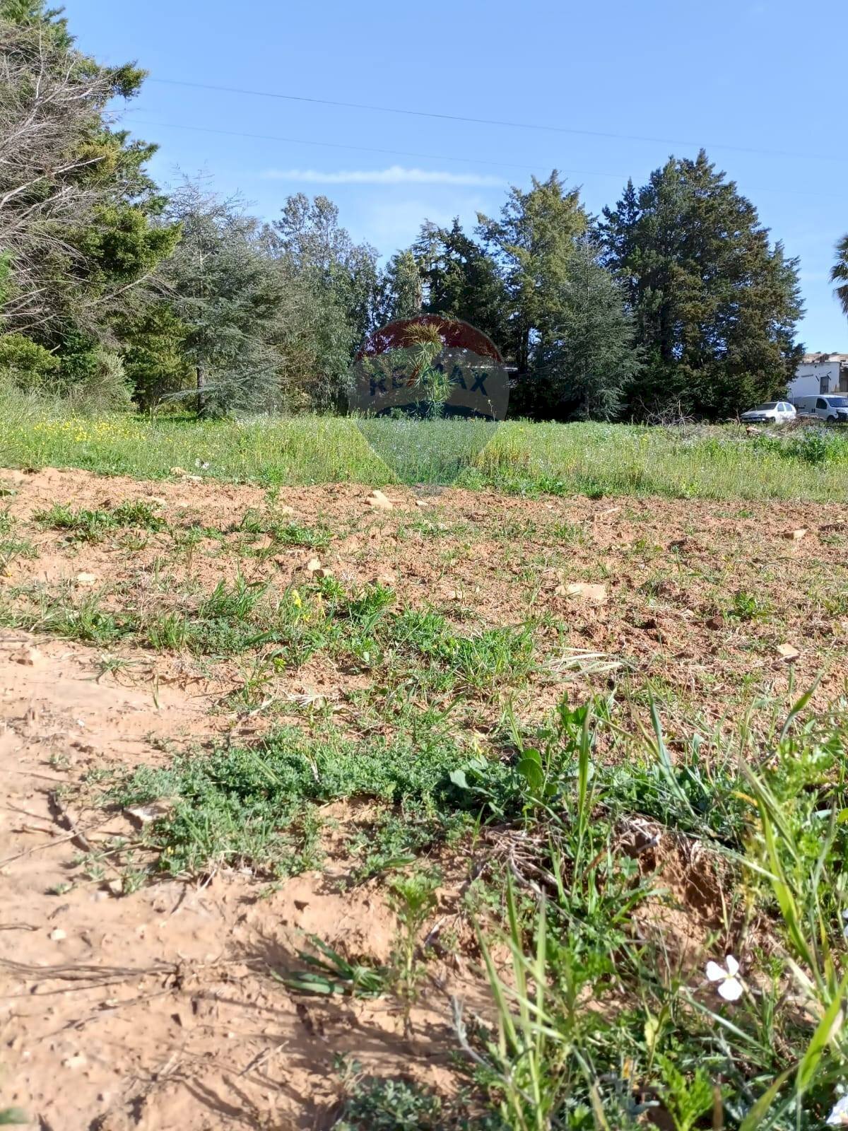 Giardino - Terreno edificabile Contrada Mazzone
 
snc, Caltagirone - foto 3
