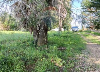 Giardino - Terreno edificabile Contrada Mazzone
snc, Caltagirone - foto 1