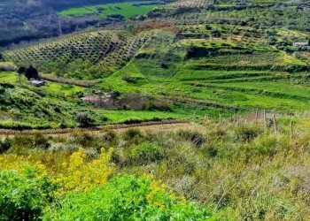 Vista delle montagne - Terreno edificabile Contrada Mazzone
snc, Caltagirone - foto 2