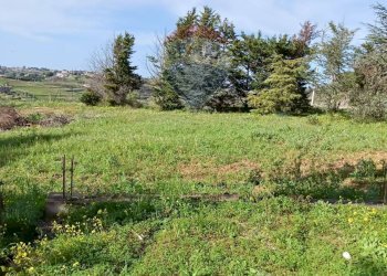 Giardino - Terreno edificabile Contrada Mazzone
snc, Caltagirone - foto 5