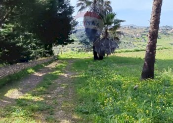 Giardino - Terreno edificabile Contrada Mazzone
snc, Caltagirone - foto 6