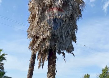 Non correlato - Terreno edificabile Contrada Mazzone
snc, Caltagirone - foto 7