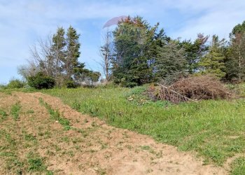 Giardino - Terreno edificabile Contrada Mazzone
snc, Caltagirone - foto 11