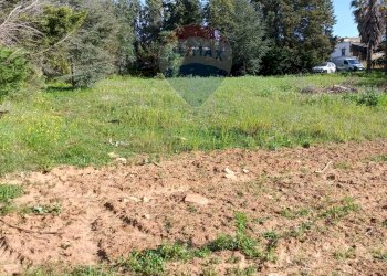 Giardino - Terreno edificabile Contrada Mazzone
snc, Caltagirone - foto 16