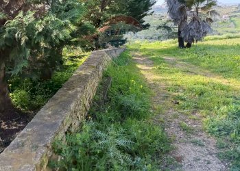 Giardino - Terreno edificabile Contrada Mazzone
snc, Caltagirone - foto 23