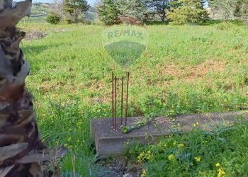 Giardino - Terreno edificabile Contrada Mazzone
snc, Caltagirone - foto 24