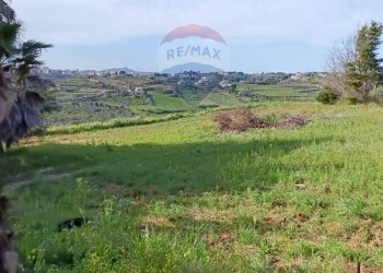 Giardino - Terreno edificabile Contrada Mazzone
snc, Caltagirone - foto 25