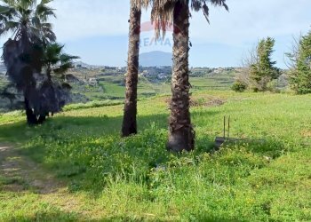 Giardino - Terreno edificabile Contrada Mazzone
snc, Caltagirone - foto 27